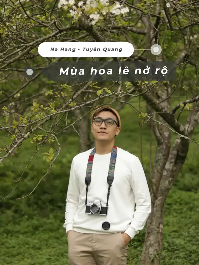 Chi phí du lịch Tuyên Quang săn hoa lê đầu xuân
