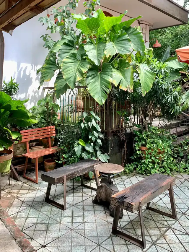 LAST MINUTE - Quán cafe được bao phủ bởi cây xanh