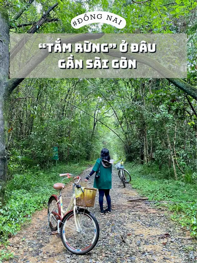 #DONGNAI | “Tắm rừng” ở đâu gần Sài Gòn?