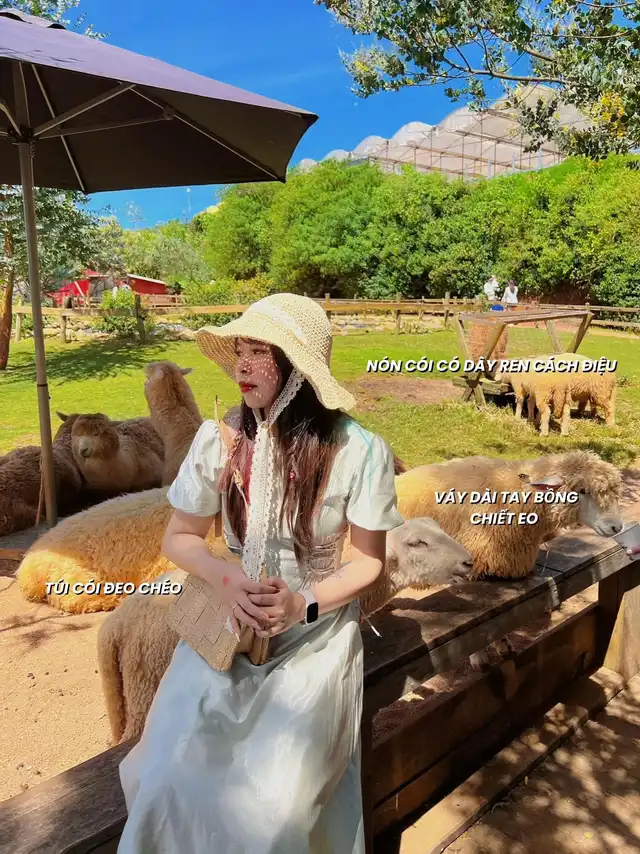 Giá Vé Tham Quan Trang Trại Dâu Tây Chimi Farm MỘC CHÂU - Cinvestra Travel