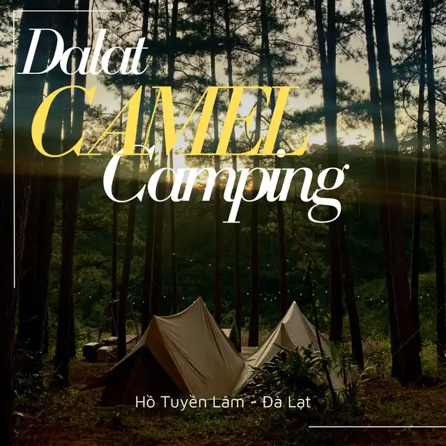 Camel Camp - Camping giữa rừng thông Đà Lạt