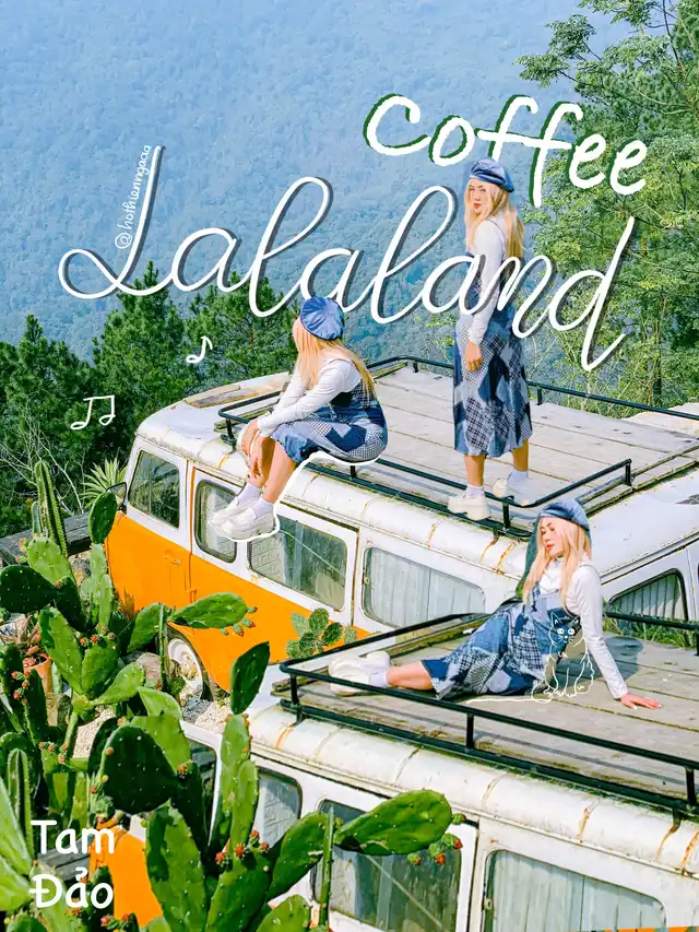 #11 COFFEE | LALALAND COFFEE, TAM ĐẢO