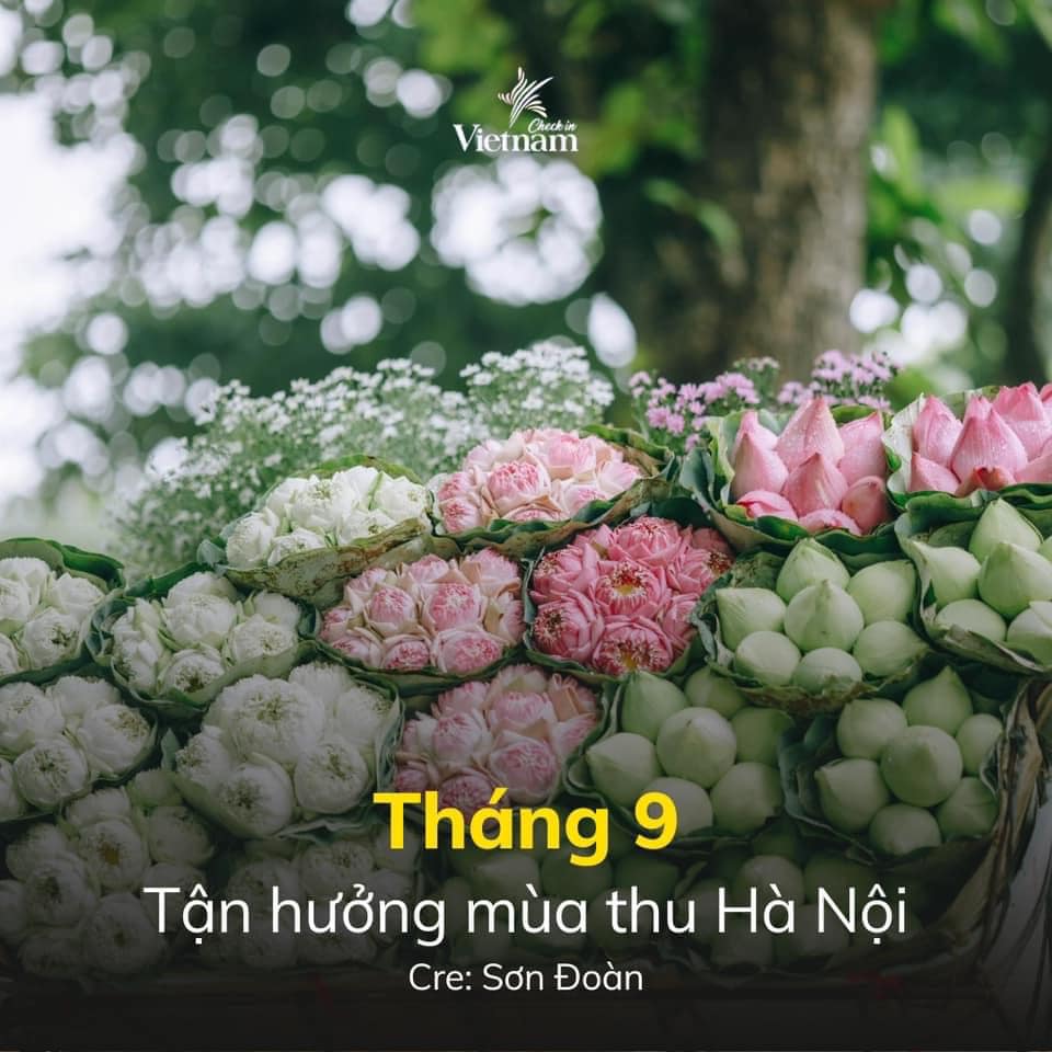 Quyết tâm năm mới mỗi tháng đi một điểm ở Việt Nam