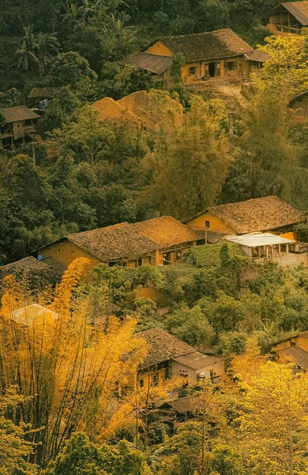 Làng cổ Thiên Hương Hà Giang - nơi bạn nhất định ghé thăm một lần trong đời và những điều thú vị bạn chưa biết!