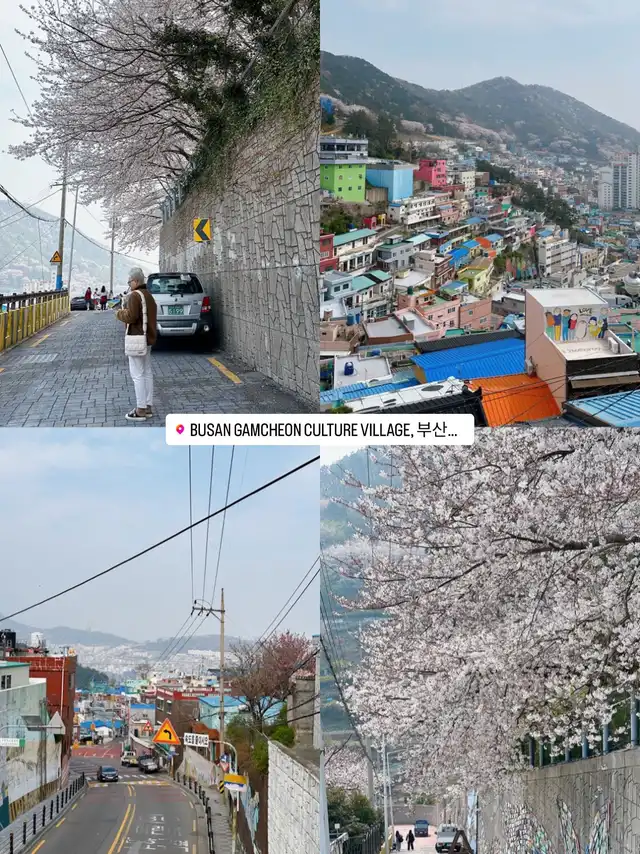 Làng bích hoạ Gamcheon Culture Village - Busan