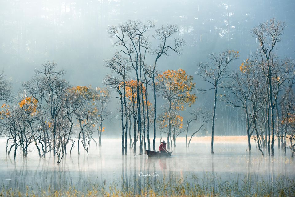 Mùa Thu lá rụng ở Hồ Tuyền Lâm