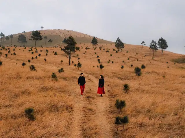 Mê mẩn thảo nguyên mùa cỏ cháy ở Quảng Ninh