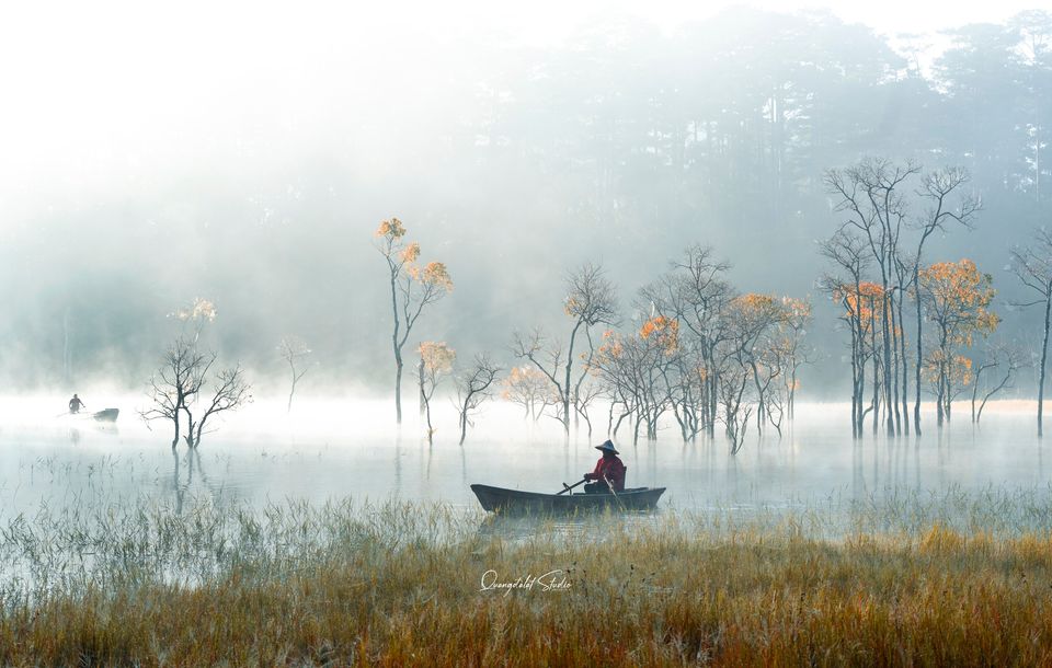 Mùa Thu lá rụng ở Hồ Tuyền Lâm