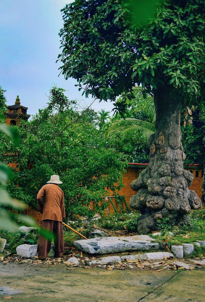 Phút bình yên tại chùa Nôm, một ngôi chùa bình dị ít người biết ở Hưng Yên!