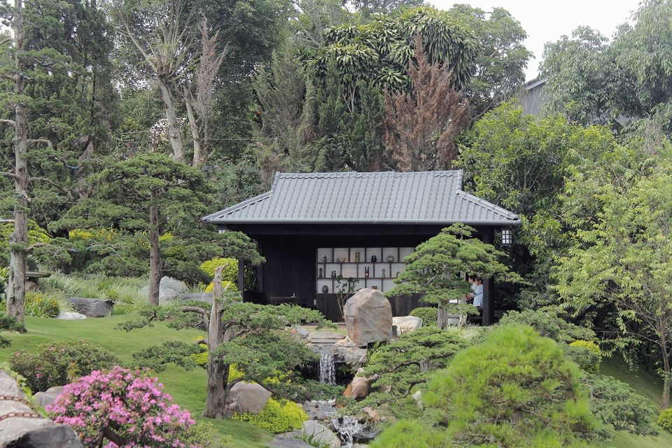 Lòng an yên giữa chốn bonsai tĩnh lặng, cảm nhận vẻ đẹp sống động của thiên nhiên với lối kiến trúc nhà gỗ trang nhã, tinh tế mang bản sắc của Nhật Bản giữa lòng Đà Lạt