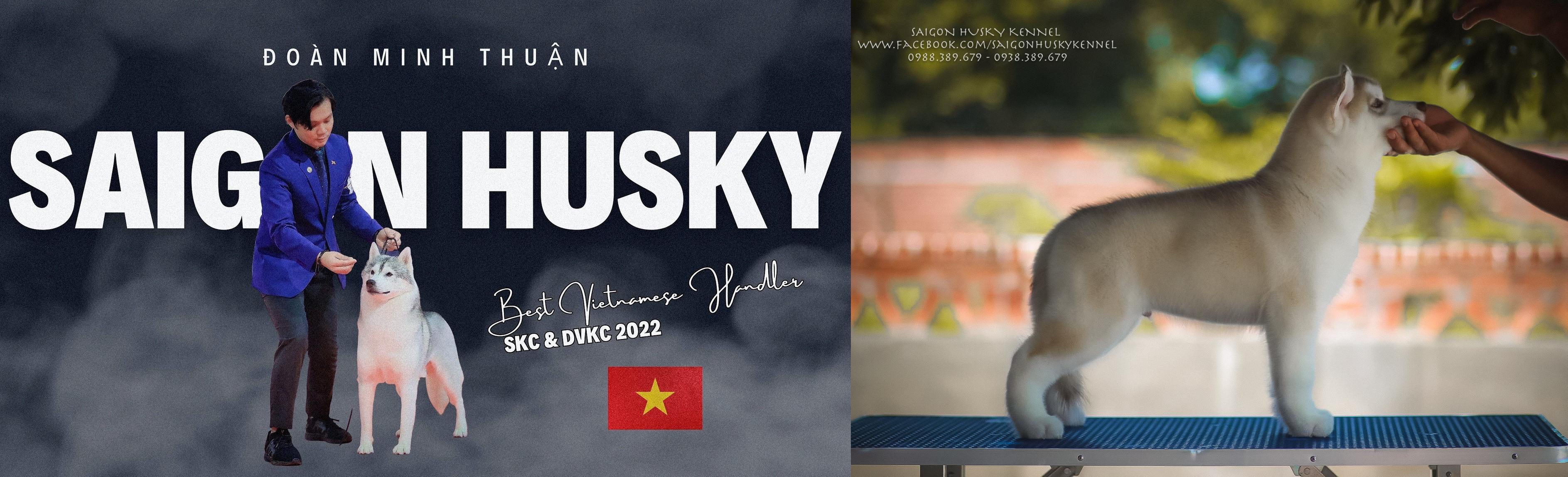 Saigon Husky Kennel