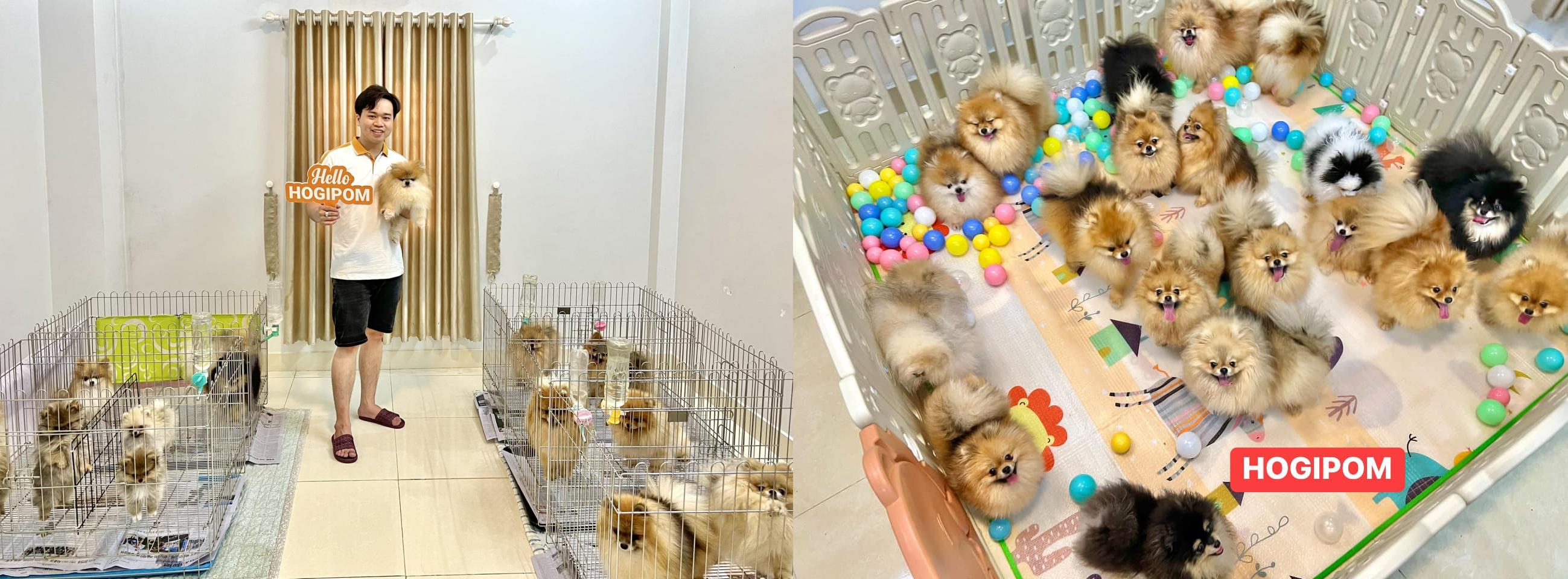 HoGi Pet Shop
