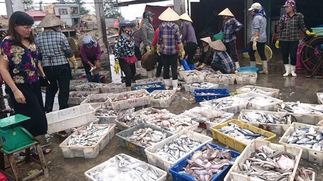 Chợ cá Ngọc Hải